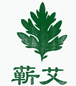 蕲艾（带叶子）